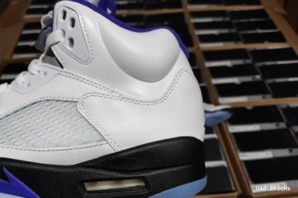 DD0587-141 Fashionable CONCORD Air Jordan5 587 0730
